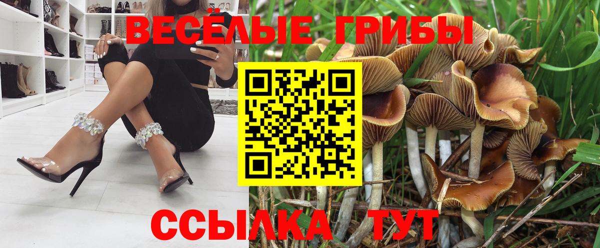 Амфетамин Кунгур
